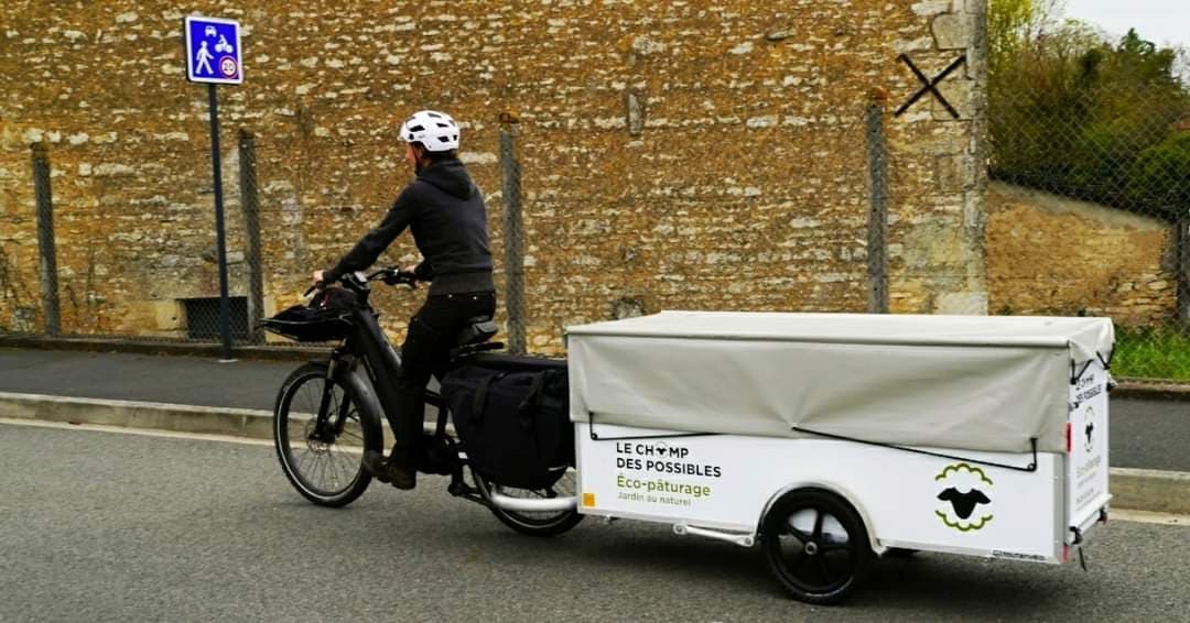 Tout Savoir Sur Les Remorques Pour V Los Cargo Lectriques